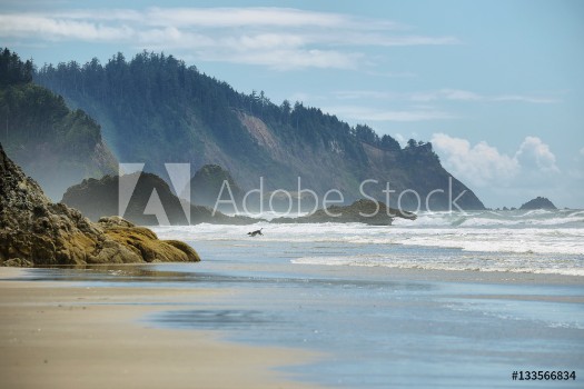 Picture of View of wild beach in Oregon